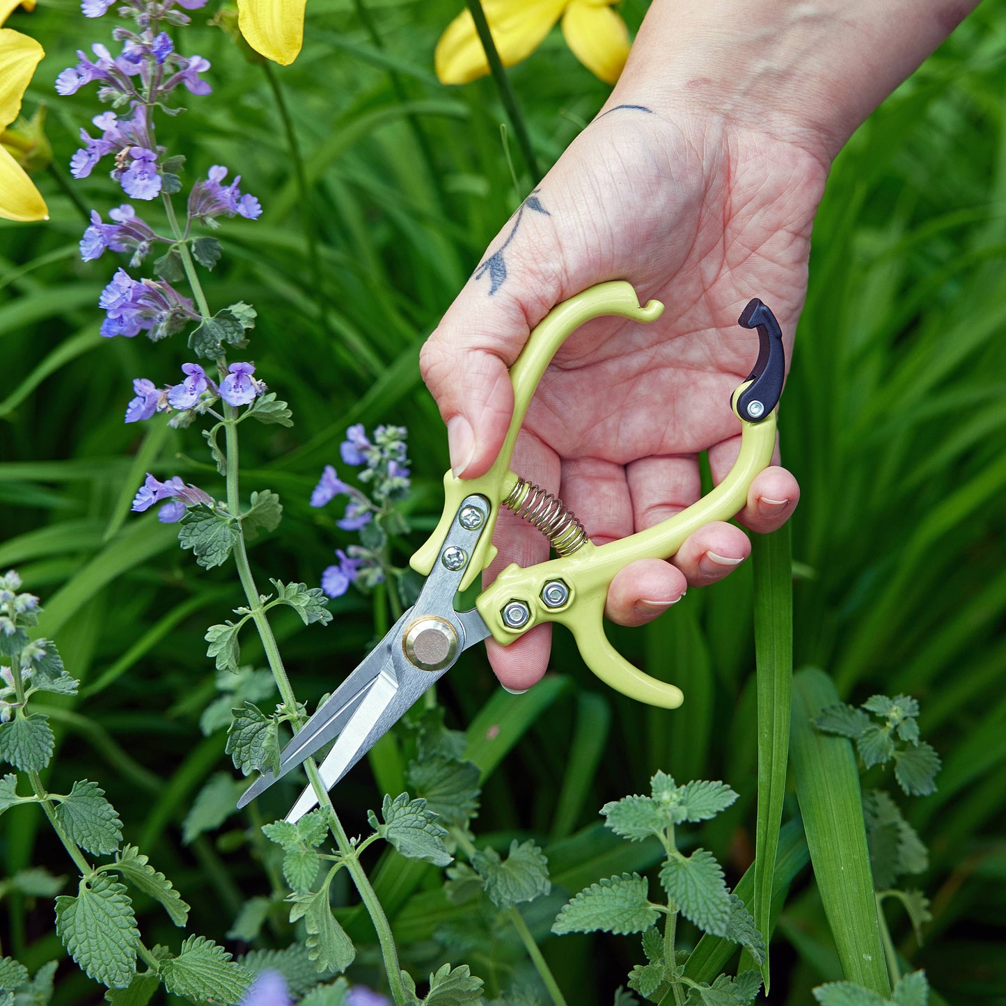 Garden Pruning Shears