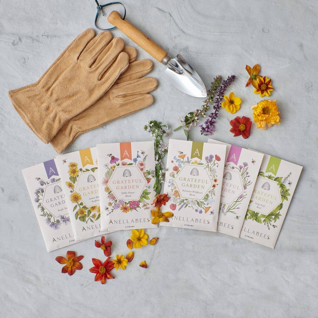 Vera Lavender Flower Seeds for Pollinators (Grateful Garden)