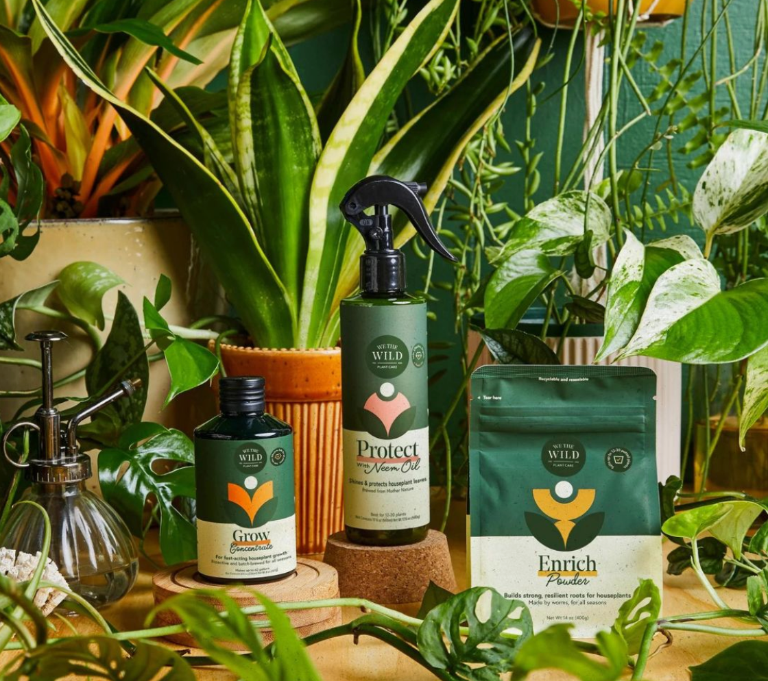 Houseplant Care Essential Kit