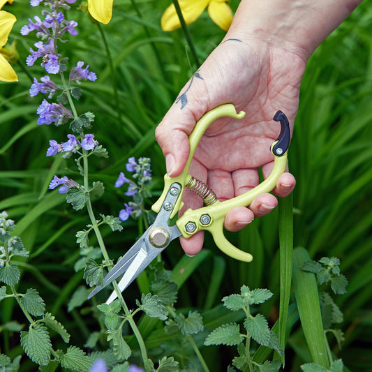 Garden Pruning Shears